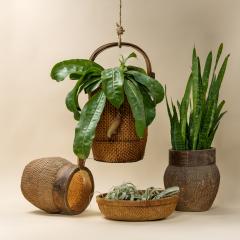 Round Grain Basket - 4459769