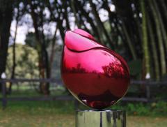 Santiago Medina RED DREAMS Santiago Medina - 3107570