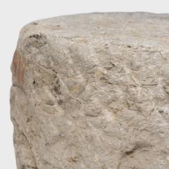 Stone Stump Pedestal - 4182193