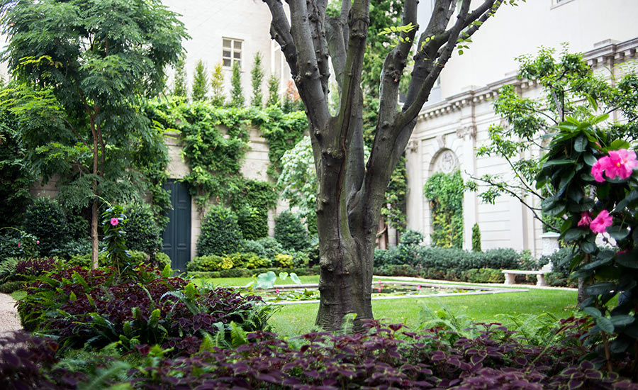 Expansion To Frick Collection Threatening Famous Garden Faces ...