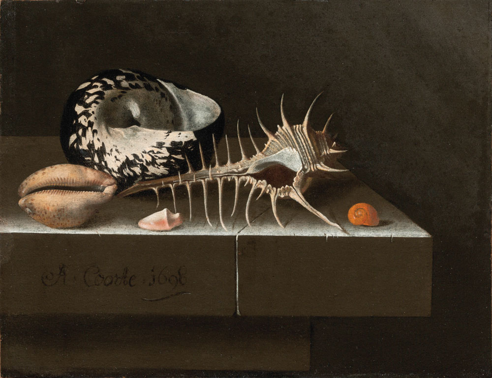 Adriaen Coorte (active 1659/1664–1707) Still Life with Seashells, 1698 Oil on paper mounted on wood panel, 6¾ x 8¾ inches The Rose-Marie and Eijk van Otterloo Collection