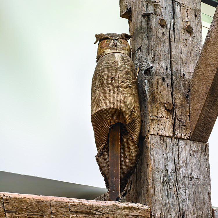 An early homespun (woven linen) owl, nineteenth century, keeps watch in the main living space. Originally intended as a scarecrow, it was covered in feathers, some of which remain to provide a sense for its original appearance. “He is another object that makes me smile,” says the owner.